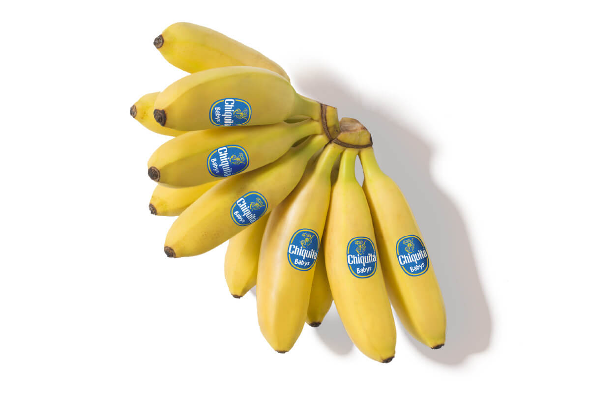 Chiquita babys bananas