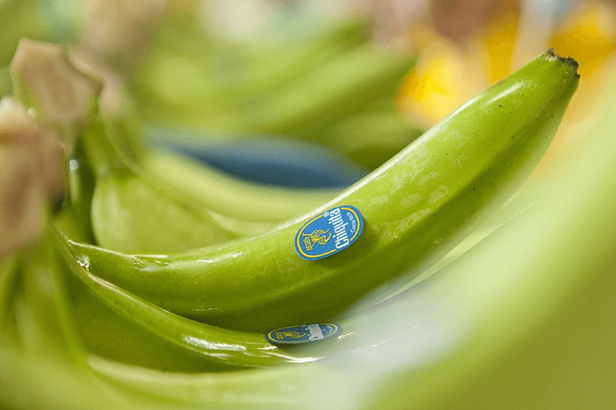 Quality standards Blue Sticker Chiquita