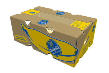 Chiquita Boxes Manzanos Bananas