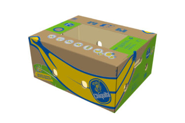 Chiquita Boxes Organics Bananas