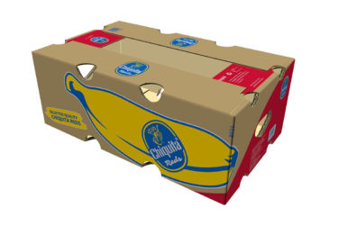 Chiquita Boxes Reds Bananas